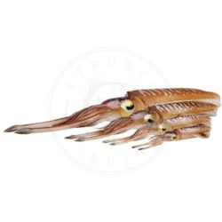 Savage Gear Savage 3D Calamaro Swim Squid