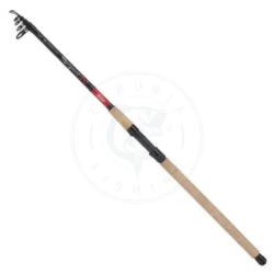 Berkley Canna spinning Cherrywood Spezi Allround Tele