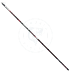 Colmic Canna bolognese Fiume S31 Fuji Alconite