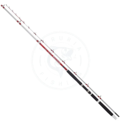Colmic Canna pesca a fondo Dentice