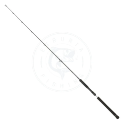 Daiwa Canna slow jigging Legalis Casting