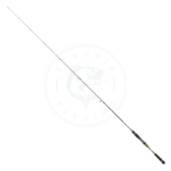 Daiwa Canna Spinning BG Seabass
