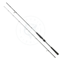 Daiwa Canna spinning Saltist Seabass