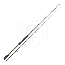 Daiwa Canna spinning Infeet Seabass OS