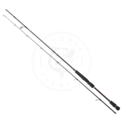Daiwa Canna spinning Infeet Seabass