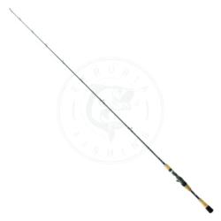 Daiwa Canna Baitcasting Prorex 1 Sezione