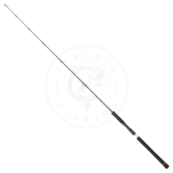 Daiwa Canna slow jigging Legalis