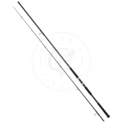 Daiwa Canna jigging Legalis Shore