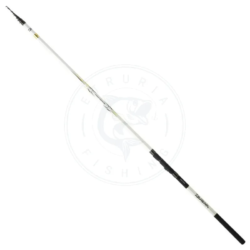 Daiwa Canna bolognese Triforce Bombette