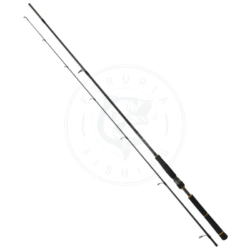 Daiwa Canna spinning Black Gold Seabass