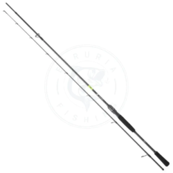 Daiwa Canna spinning Prorex E Linear