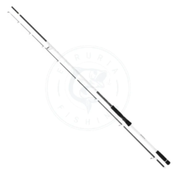 Daiwa Canna Spinning Infeet Seabass II
