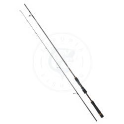 Daiwa Canna spinning Lexa Seabass