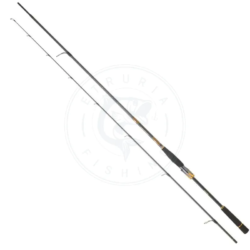 Daiwa Canna spinning Morethan Branzino Expert AGS