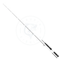 Daiwa Canna Spinning Infeet Seabass II