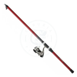 Daiwa Canne Surfcasting Sweepfire Pike