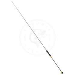 Daiwa Canna jigging Saltiga Slow
