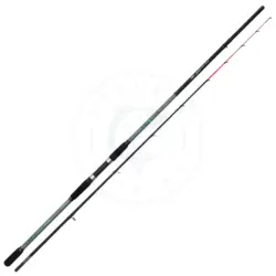 Canna Lineaeffe Boat Pulse