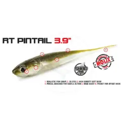 Molix RT Pintail 3,9"