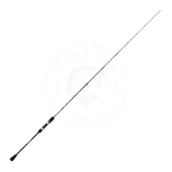 Canna Nomura Shinen Jigging Spinning